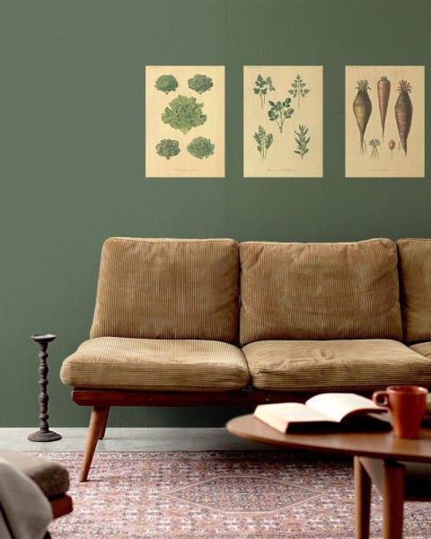 Flax Art Poster | Encyclopedia Vegetable B | FWP-AP-EN4B